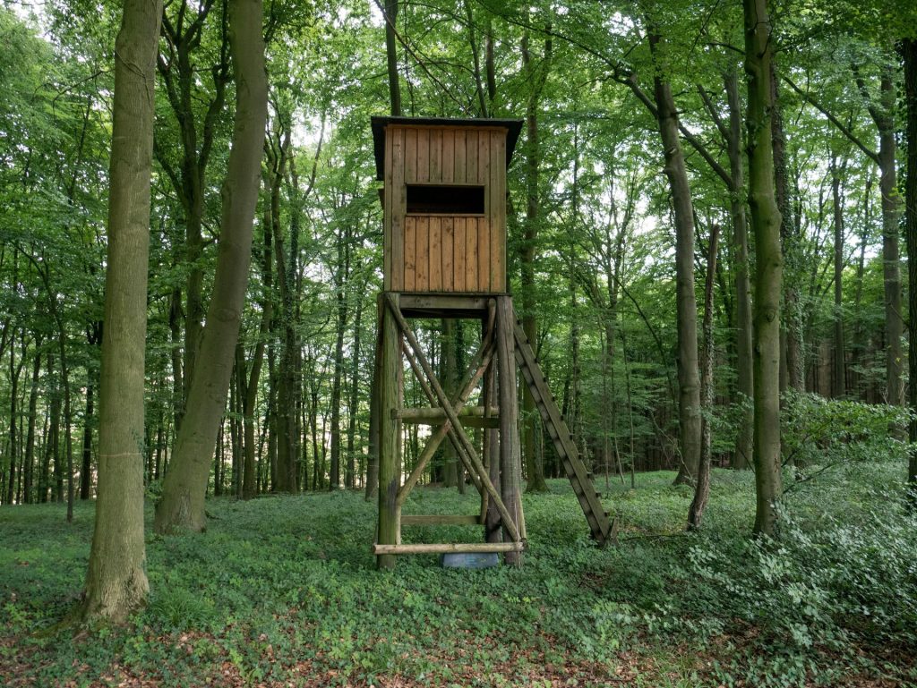 Wooden deer stand nestled among tall trees in a lush German forest.